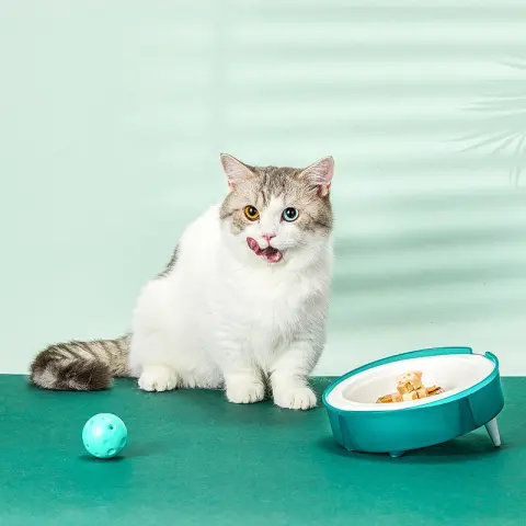 Cat Disposable Food Bowl Replaceable Portable Dog Feeders Cat