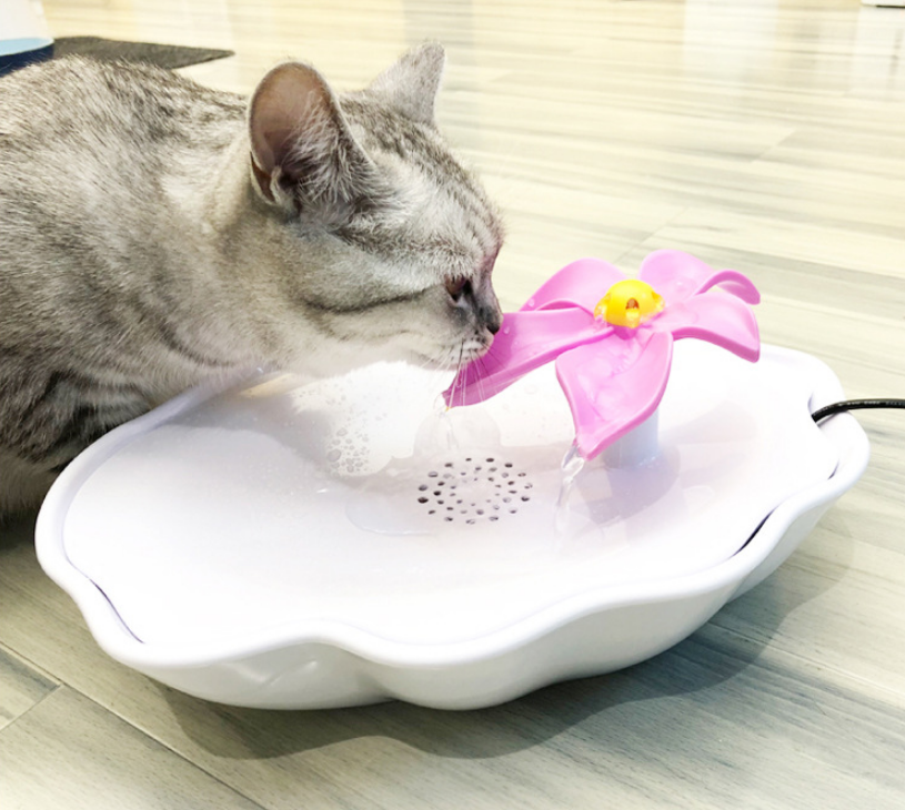 Automatic circulation of cat water dispenser
