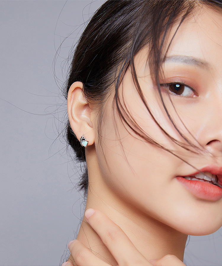 Female personality silver earrings