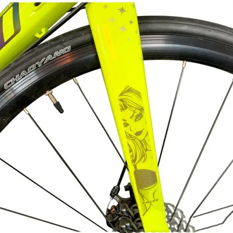 Mountain Bike Frame Protector