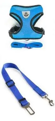Pet Car Seat Belt Pet Leash Deep Blue - Shop at LoveMi