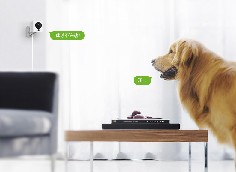 Mobile Wifi Home Network Monitoring Night Vision Camera 5