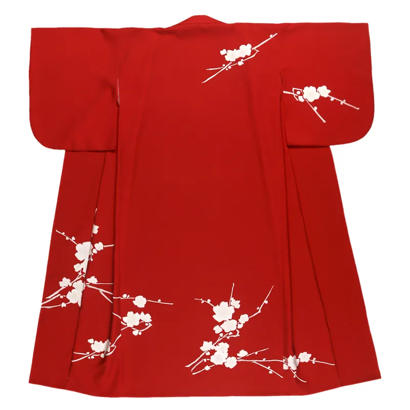Japanese Traditional Kyoto Girls Annual Party Dress - Red