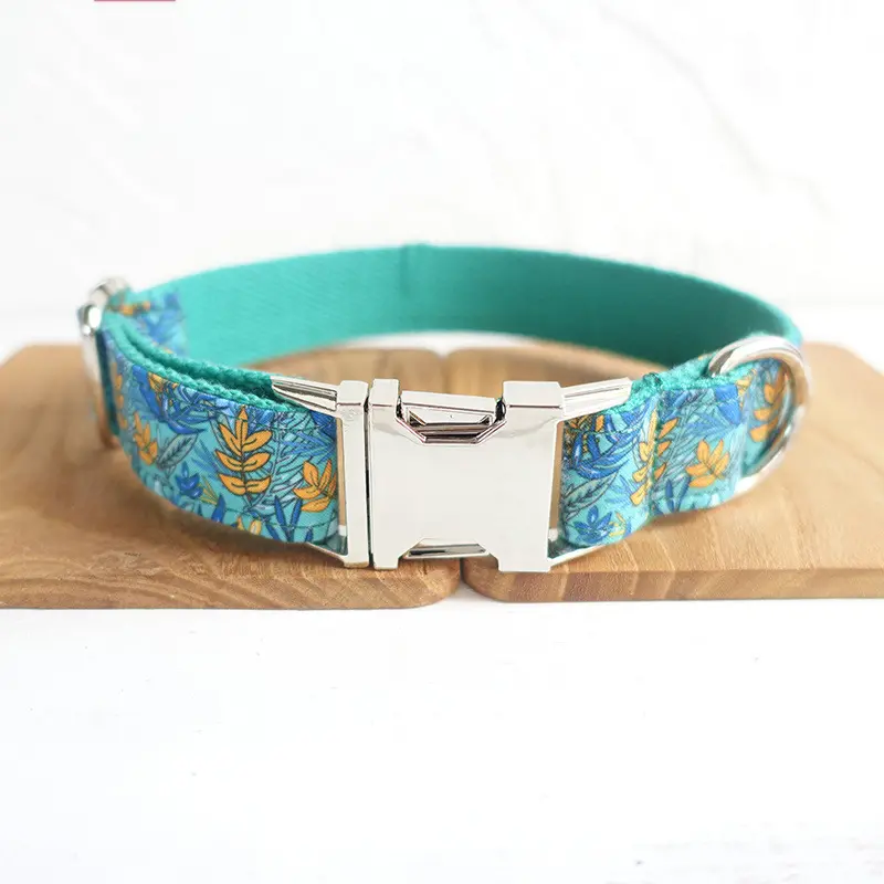 Dog collar pull rope leash