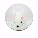 Hamster
