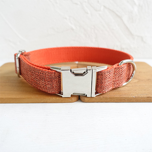 Double layer thick pet leash Collar - Shop at LoveMi