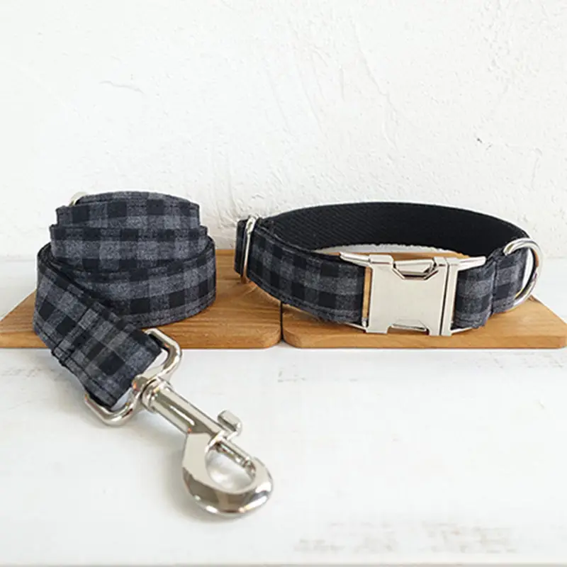 Pet Leash Training Dog