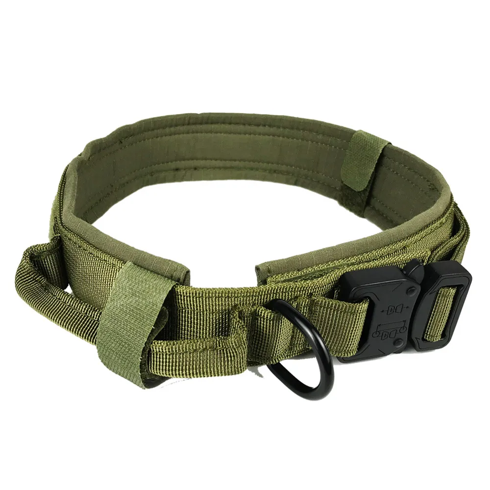 Dog collar – image 7