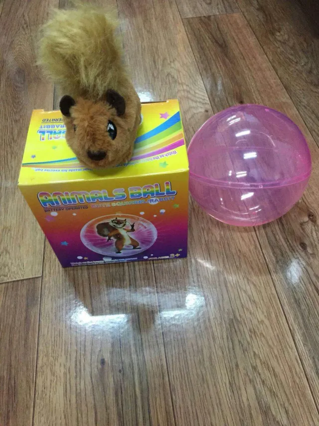 Plastic Activation Animal Ball Toy Squirrel - Shop at LoveMi
