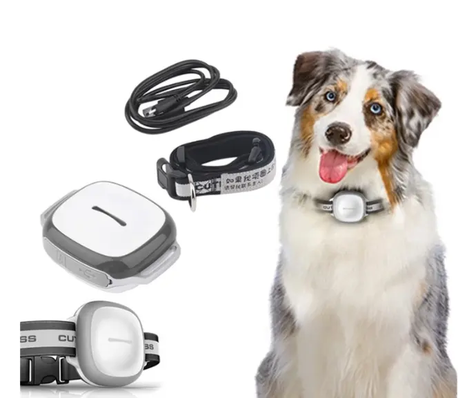 Collared Cat Dog Tracker Pet Locator