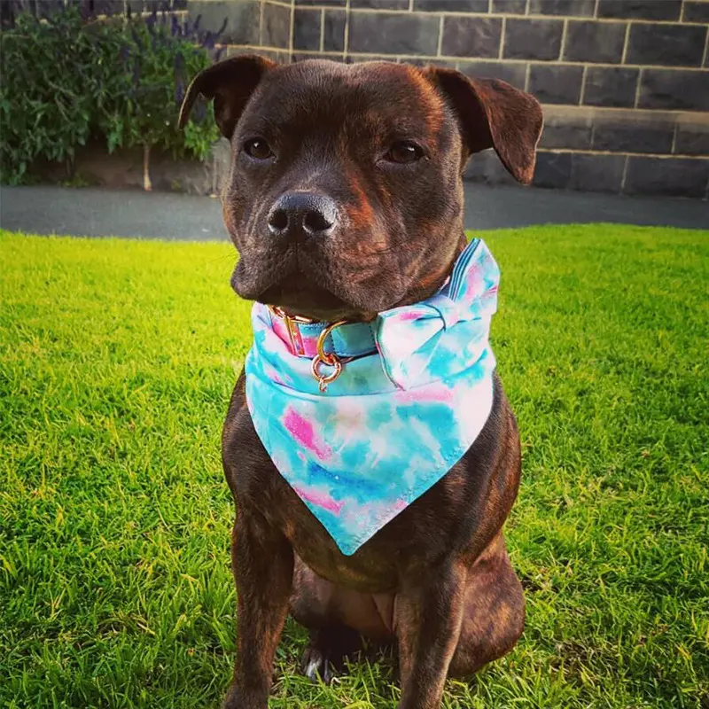 Double Printed Cotton Pet Scarf