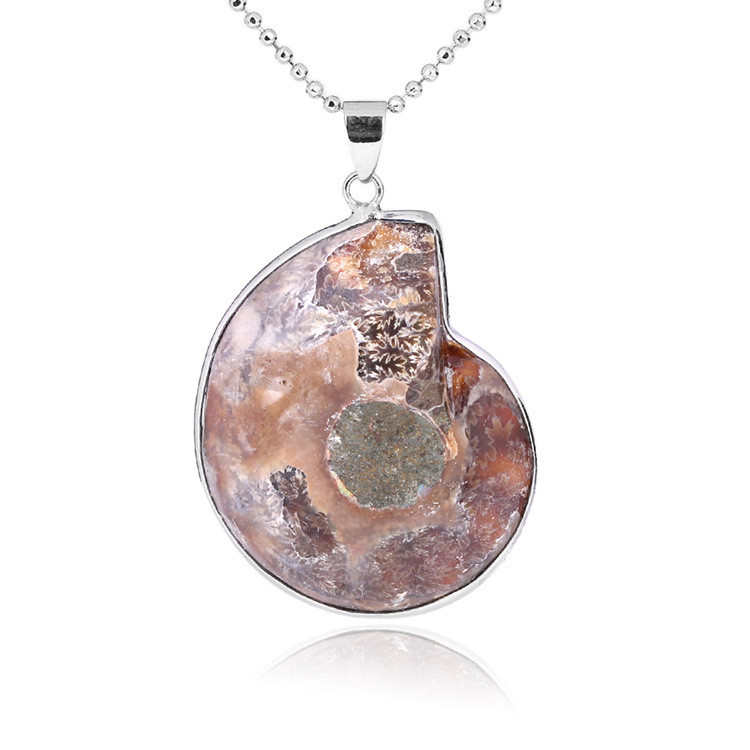 Natural snail fossil shell pendant necklace