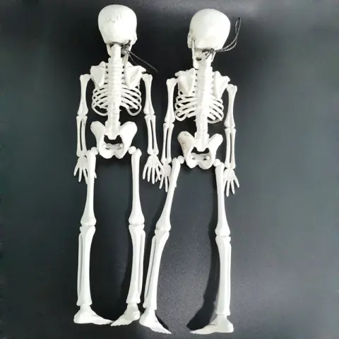 Halloween Skeleton