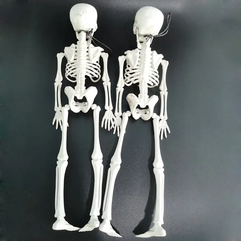 Halloween Skeleton