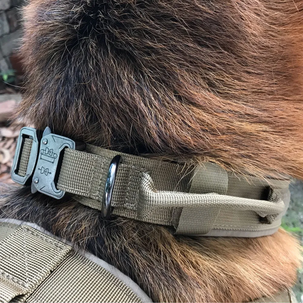 Dog collar – image 6