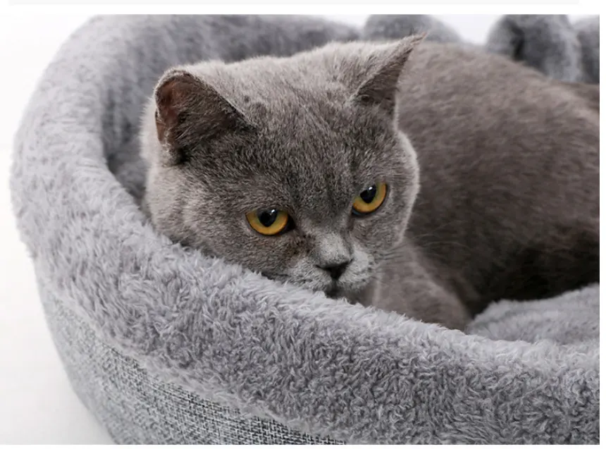 Soft Plush Heart Shaped Cat Bed