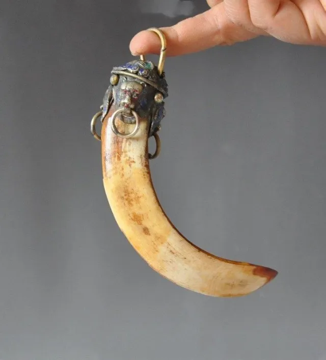 Baozhen natural wild boar tooth pendant Yellow - Shop at LoveMi