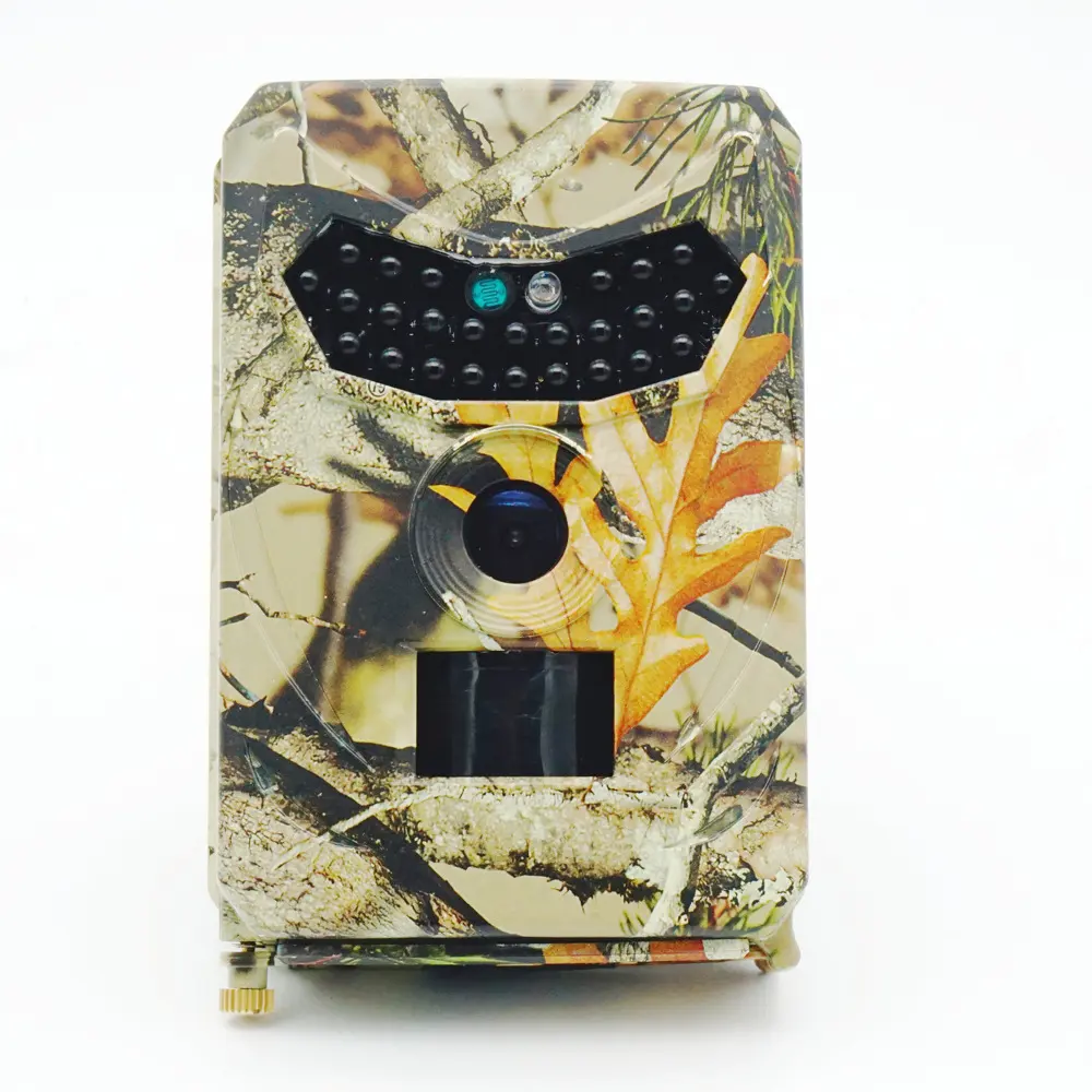 Forestry Security Camera