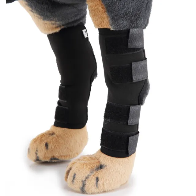 Dog Leg Brace Black - Shop at LoveMi
