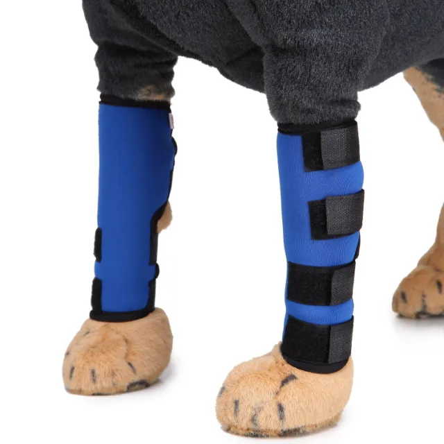 Dog Leg Brace Blue - Shop at LoveMi