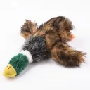 Wild Duck S