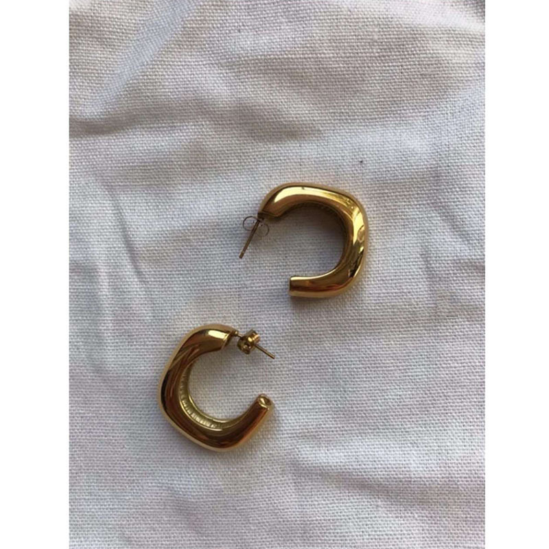 Ins Circle Earrings female cool wind Earrings net red