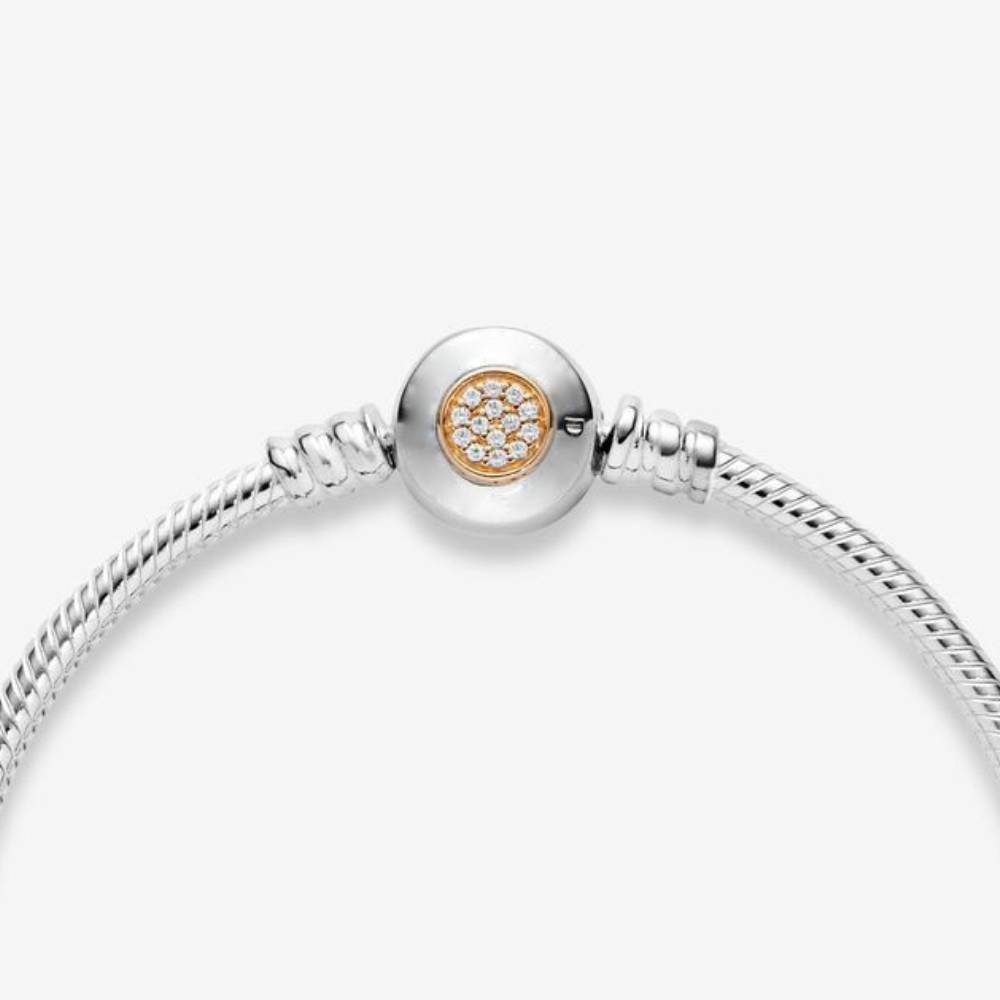 Classic snake bone chain