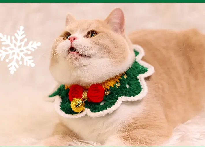 Hand-woven pet New Year cartoon scarf