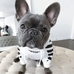 Corgi Schnauzer pet fashion brand three-stripe dog sweater spoof autumn and winter sports dog clothes - White - View 1