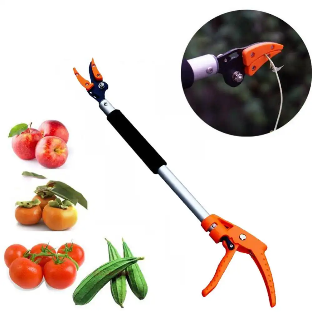 Garden Persimmon Grape Peach Tree Branch Durable Long Shearing
