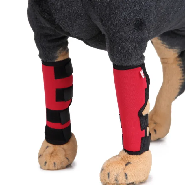 Dog Leg Brace Red - Shop at LoveMi