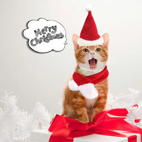 Pet Supplies Christmas Hat Scarf Set Cat and Dog