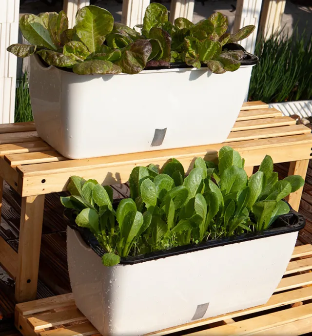 Lazy man long plastic flowerpot - Shop at LoveMi