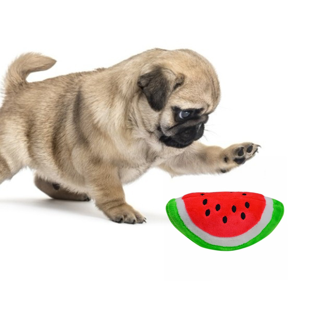 Dog watermelon