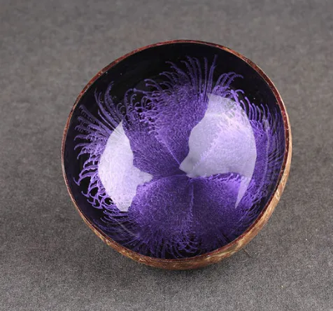Coconut shell bowl Purple - Shop at LoveMi