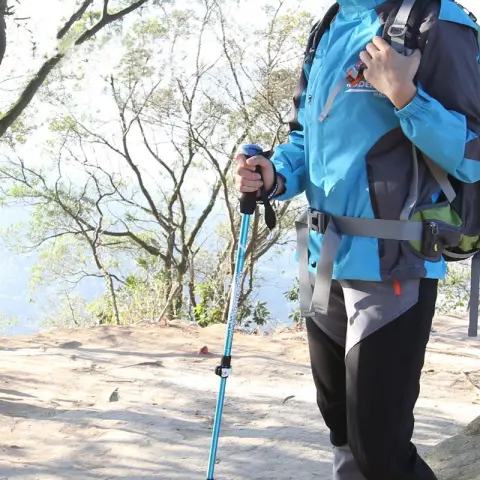Aluminum Alloy Trekking Pole Straight Handle