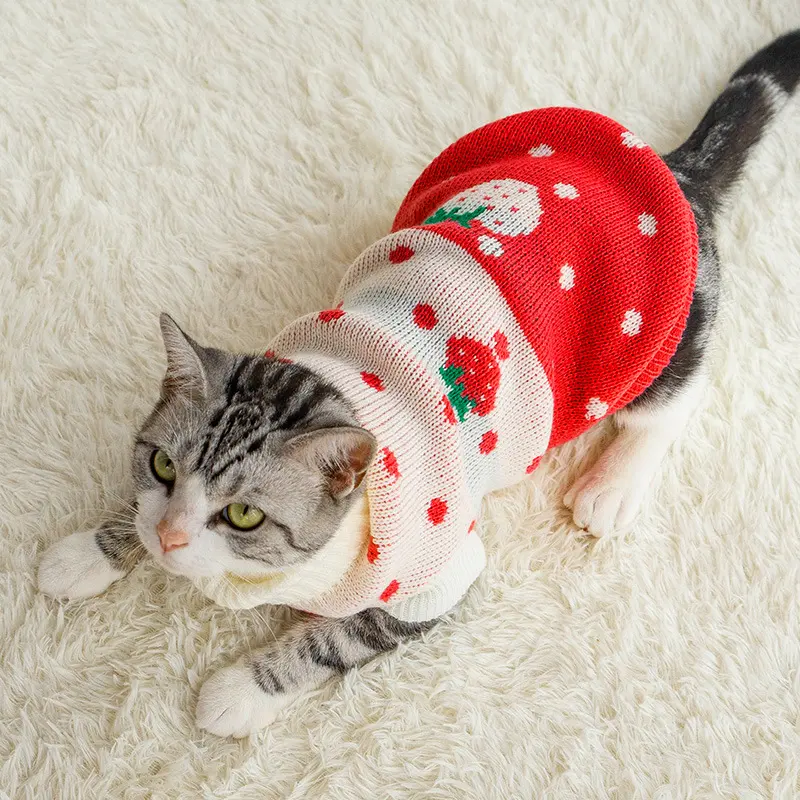 Puppy Cat Clothes Anti-hair Fall and Winter to Keep