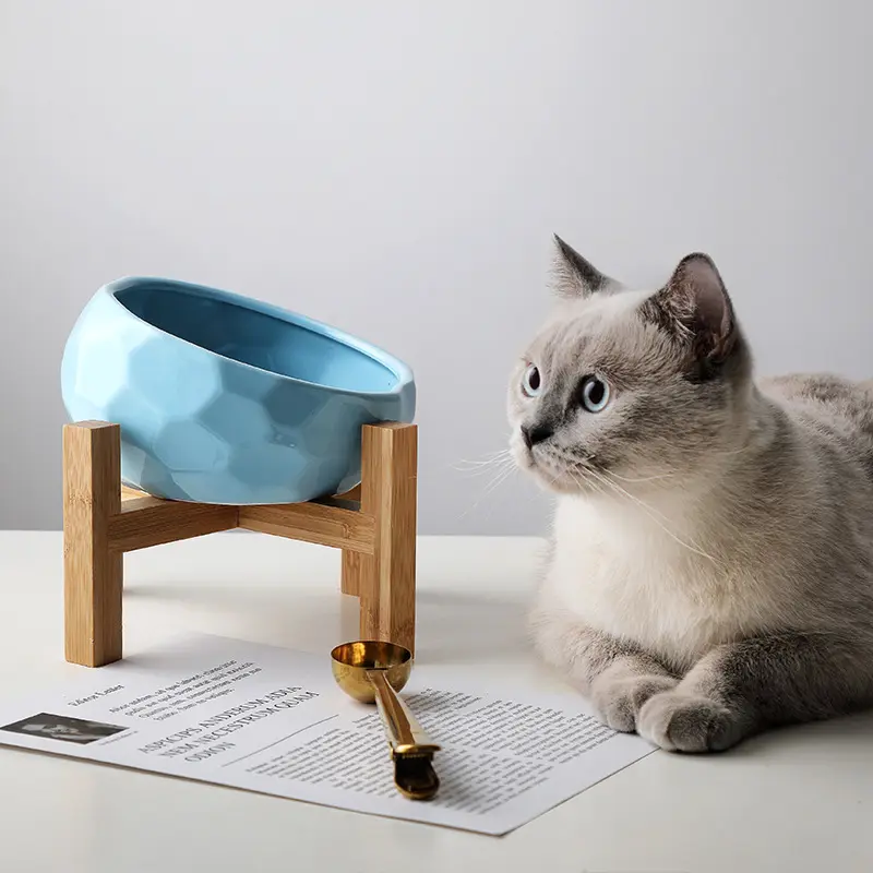 Pet bowl oblique mouth cat food dog