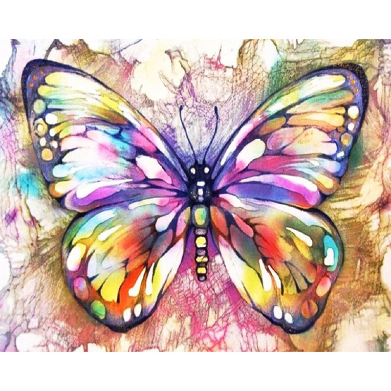 Colorful butterfly