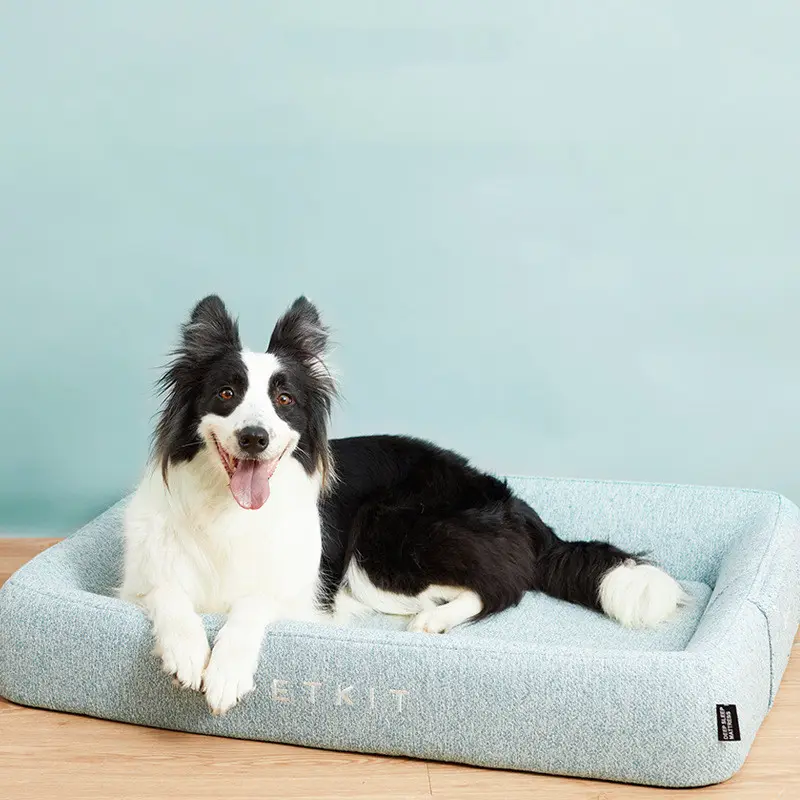 Removable and washable dog bed to keep
