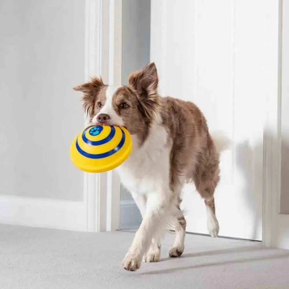Sounding Disc Woof Glider Soft & Safe Indoor Pet