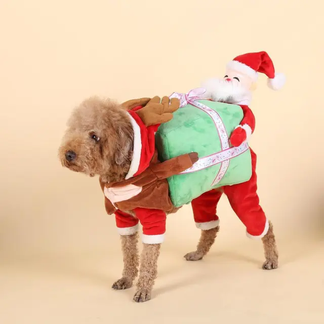 Santa Claus gift box turned into a pet suit Christmas - Shop at LoveMi