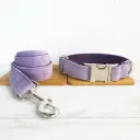 Light Purple Suit