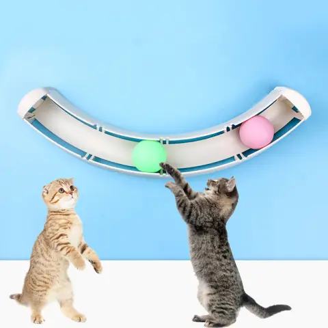 Cat Sucker Track Ball Cat