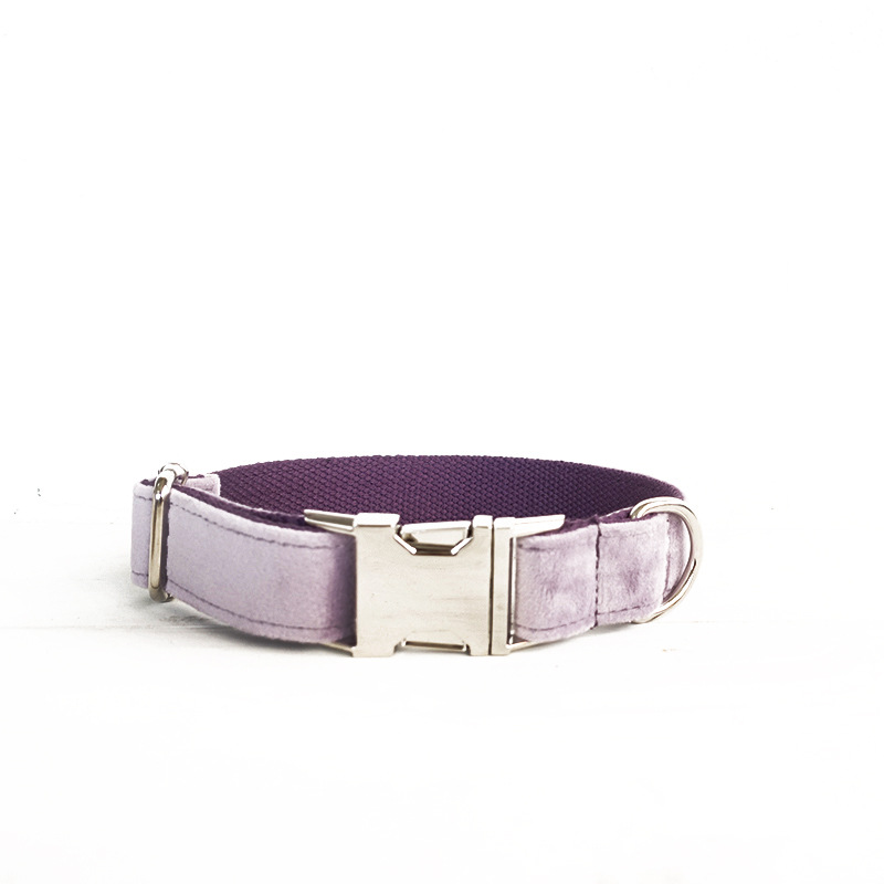 Light purple Collar