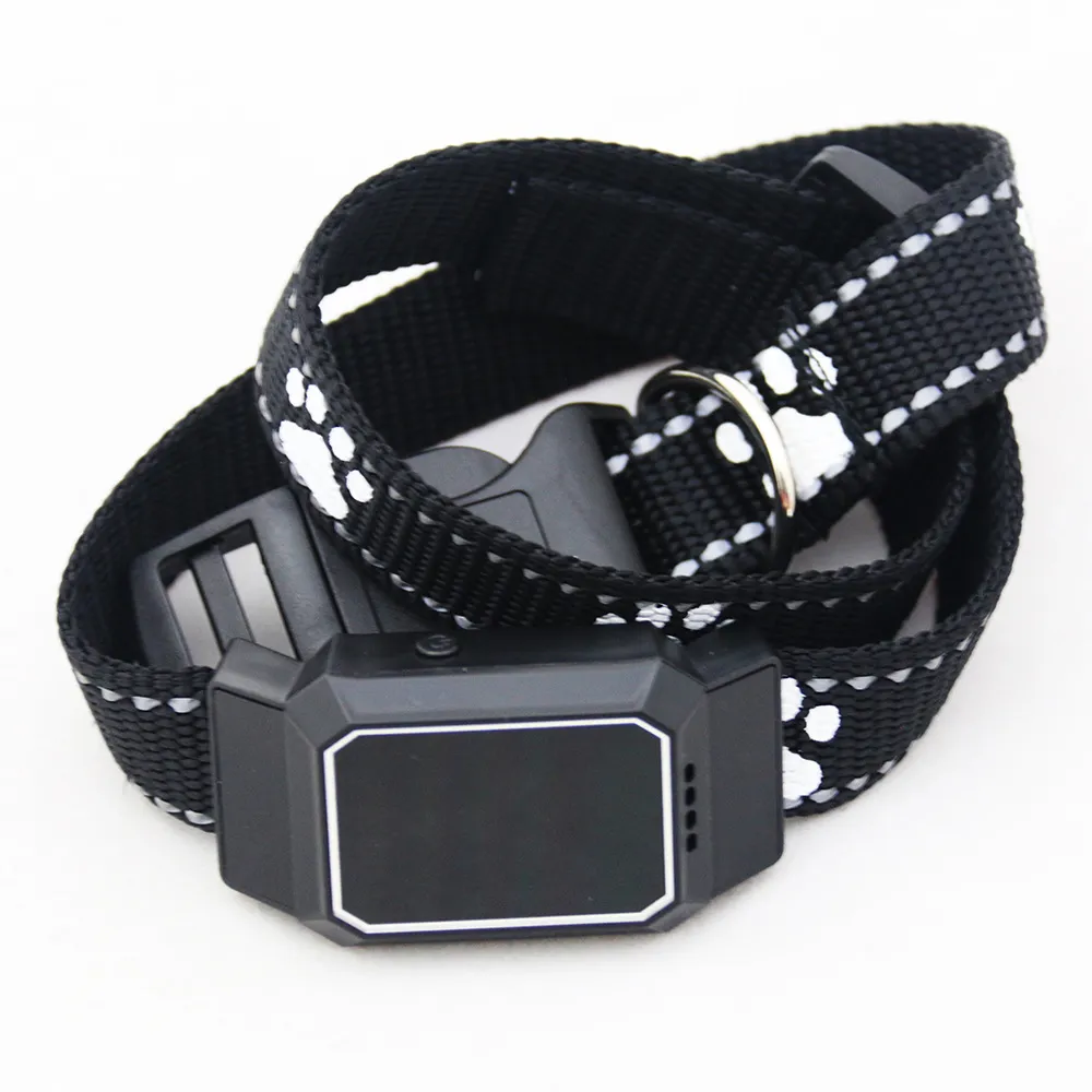 Pet collar locator - Black