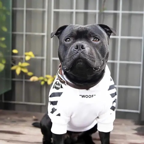 Pet Tide Brand Dog Plus Velvet Thick Sweater