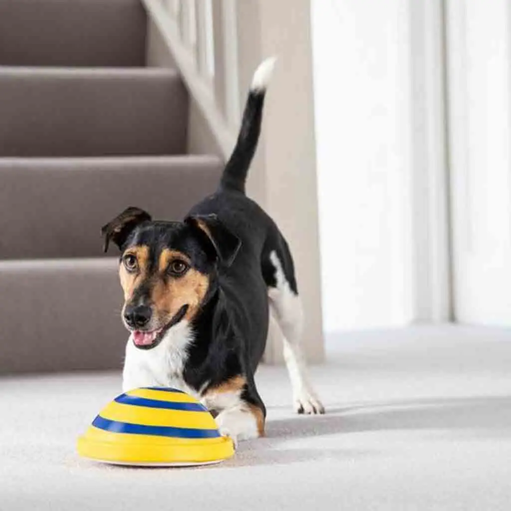 Sounding Disc Woof Glider Soft & Safe