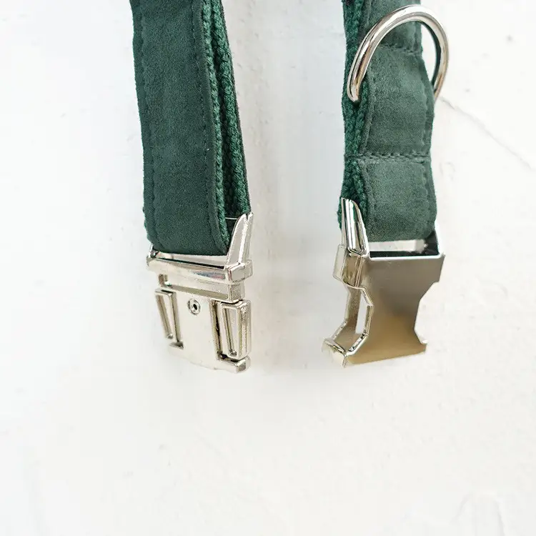Pet neck collar for medium-sized dogs