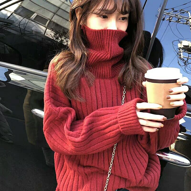 Turtleneck pullover top